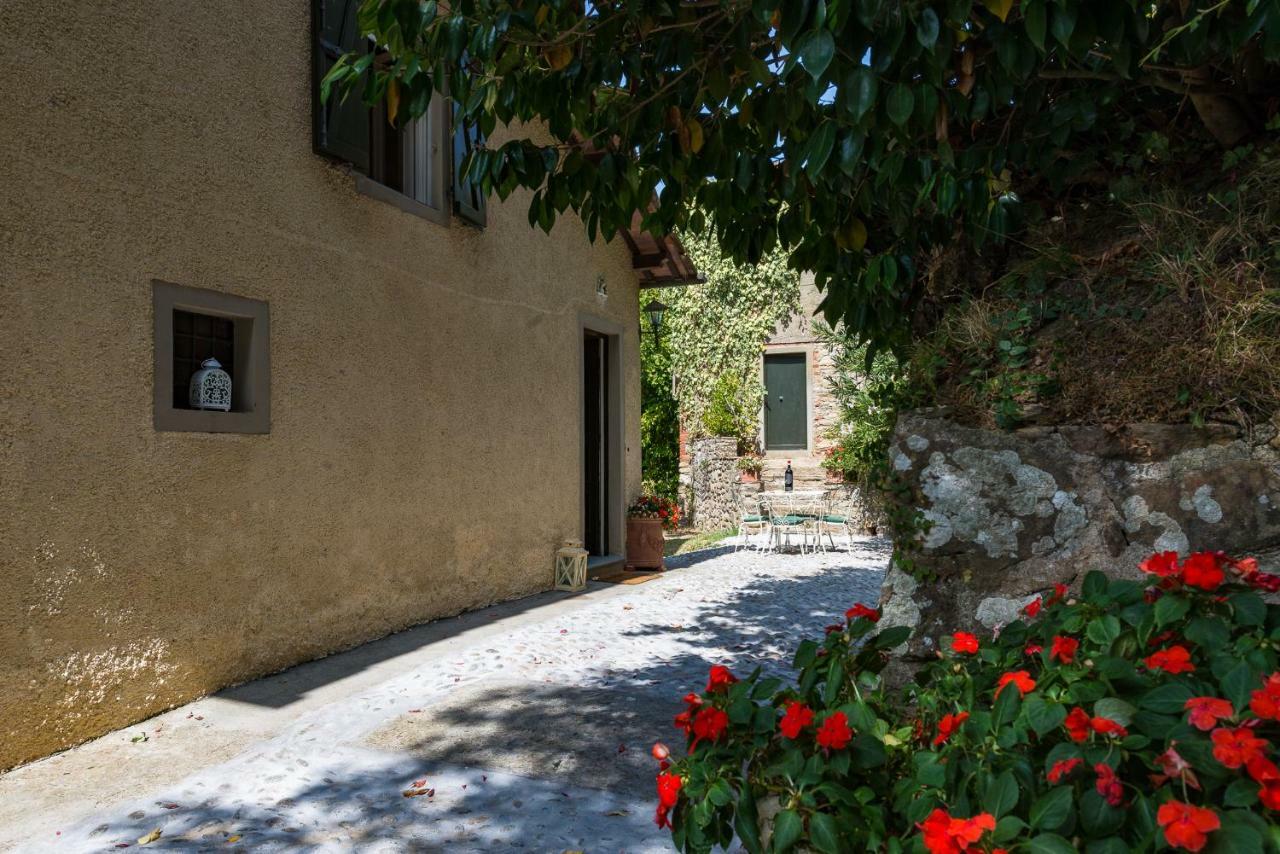 Villa Brancoli Capannori Esterno foto